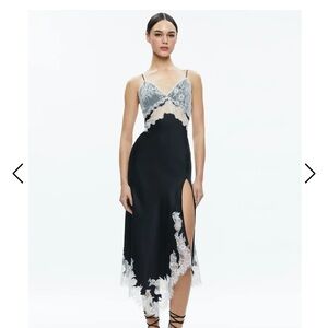 Alice & Olivia dress. A beautiful lace slip dress.
